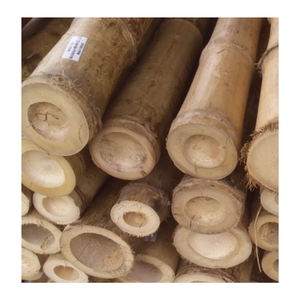 Offre Spéciale Poteaux De Bambou Matériel Pour La Construction-Cannes De Poteau De Bambou Naturel En Gros De L'usine Du Vietnam - Product Image 3