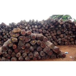 Azobe <b>Wood</b> <b>Logs</b> Export Quality, Dense Hardwood, Perfect for Industrial Projects - Product Image 3