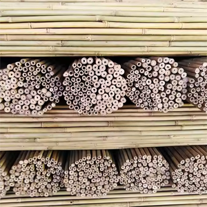 Postes de bambú al por mayor postes de bambú crudo Vietnam postes de bambú grandes para obras de construcción-BP014 - Product Image 2