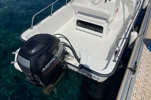 Bateau de pêche en eau salée en aluminium BostonWhaler 170 Montauk 17m de 2014 d'occasion, bateau de travail de luxe, moteur hors-bord essence 100cv, 3 pales + remorque - Product Image 2