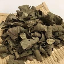 Hojas de guayaba secas de primera calidad, cuidadosamente procesadas para una máxima frescura, valor a un precio competitivo - Product Image 2