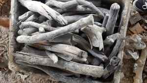 CARBÓN BLANCO PREMIUM UTILIZADO PARA ASAR BBQ HECHO POR BIWOOD VIETNAM MÚLTIPLES TAMAÑOS LISTO PARA EXPORTAR - Product Image 3