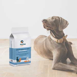 <b>Pads</b> 10 Pieces 60x90cm Super Absorbent Activated Charcoal Adhesive Corners Waterproof Leak Guard Liquid Dispersion Proof - Product Image 2