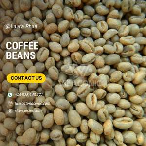 High Quality Roasted Robusta Arabica <b>Coffee</b> <b>Beans</b> Vietnam Wholesale Factory Price <b>Raw</b> Processed Specialty <b>Coffee</b> +84928148271 - Product Image 6