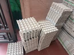 ถาดใส่ไข่กระดาษแบบพรีเมี่ยมสำหรับธุรกิจและครอบครัว - Product Image 3