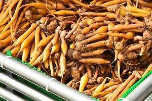 สมุนไพรคราไคแช่แข็งทั้งชิ้นสำหรับอาหารจากพืชและการสนับสนุนระบบภูมิคุ้มกันในแต่ละวัน - Product Image 2