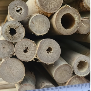 Varillas de Bambú Natural Cortadas por la Mitad para Soporte Agrícola, Jardinería y Aplicaciones de Artesanía - Product Image 5
