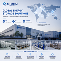 Batterie au phosphate de fer et de lithium 51,2 V 314 Ah à installation facile, plus de 6000 cycles, fonction de charge rapide pour équipement énergétique extérieur