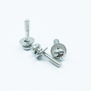 Phillip Pan Machine Vis Rondelles Jeu M2-M10 Taille Variété Acier Inoxydable Finition Plaine Ovale ISO/DIN Certifié Automobile - Product Image 2