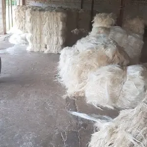 Factory Supplier Bulk White 100% Natural / quality sisal fibre / raw sisal fibre material With Fast Delivery worldwide