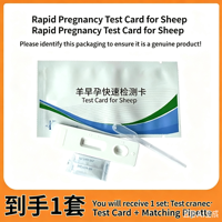 Bandelettes de test de grossesse transfrontalières pour moutons, kit de réactifs de détection précoce de la gestation pour usage vétérinaire, adaptées aux ovins