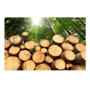 Pine <b>Wood</b> <b>Logs</b> - Various Diameter and Length Options - Product Image 5