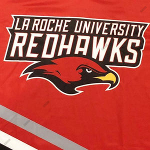 Pantalones de Hockey sobre Hielo Sibrin Premium Personalizados por Sublimación |   Bordado de Secado Rápido con Logotipo y Colores Personalizados, 100% Poliéster - Product Image 6