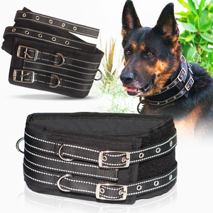 Colliers de chien en nylon noir solide réglable confortable boucle durable légère parfaite pour un usage quotidien et les chiens actifs - Product Image 1