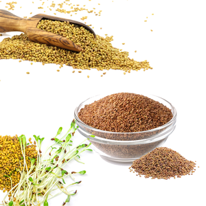 Alfalfa | Empaquetado cuidadosamente para exportación a larga distancia - Product Image 1