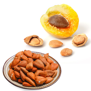 Noyau d'abricot | Meilleur pour la production d'huile essentielle et de lotion - Product Image 1