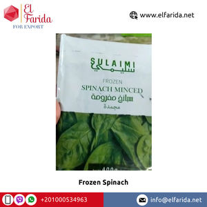 Légumes d'épinards surgelés certifiés IQF de haute qualité Merveilleux délicieux frais feuilles séchées vente en gros exportation vers l'Égypte - Product Image 4