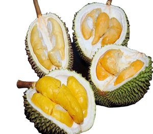 Durian Beku Segar Buah Tropis Utuh Daging Kuning Kulit Hijau Berduri Alami Organik Pure Siap Makan Bernutrisi Tinggi Sehat