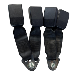 Gancio Cintura di Sicurezza Posteriore per DACIA Sandero 1a Serie (08>12) - K7JA714 - Product Image 1