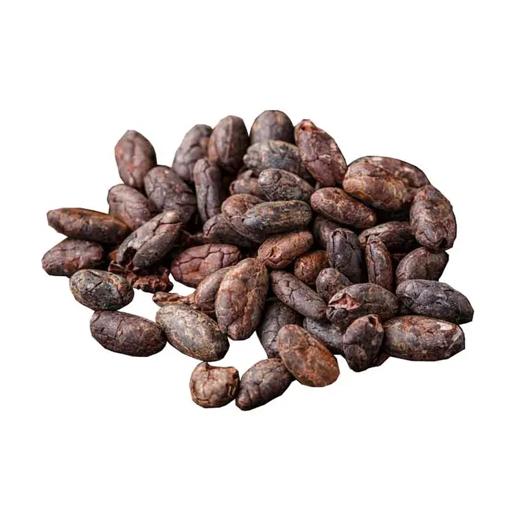 Испечь материал из натурального шелка оптом цена сушеные сырые какао бобы Коко фасоли для продажи