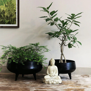 Hermosas macetas verdes de suelo negro mate para uso en interiores y exteriores, macetas sostenibles ecológicas elegantes para la vida moderna - Product Image 4