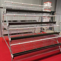 Nouvelle cage à poules pondeuses de type A avec système d'alimentation automatique, prix compétitif, fourniture directe d'usine, fil galvanisé