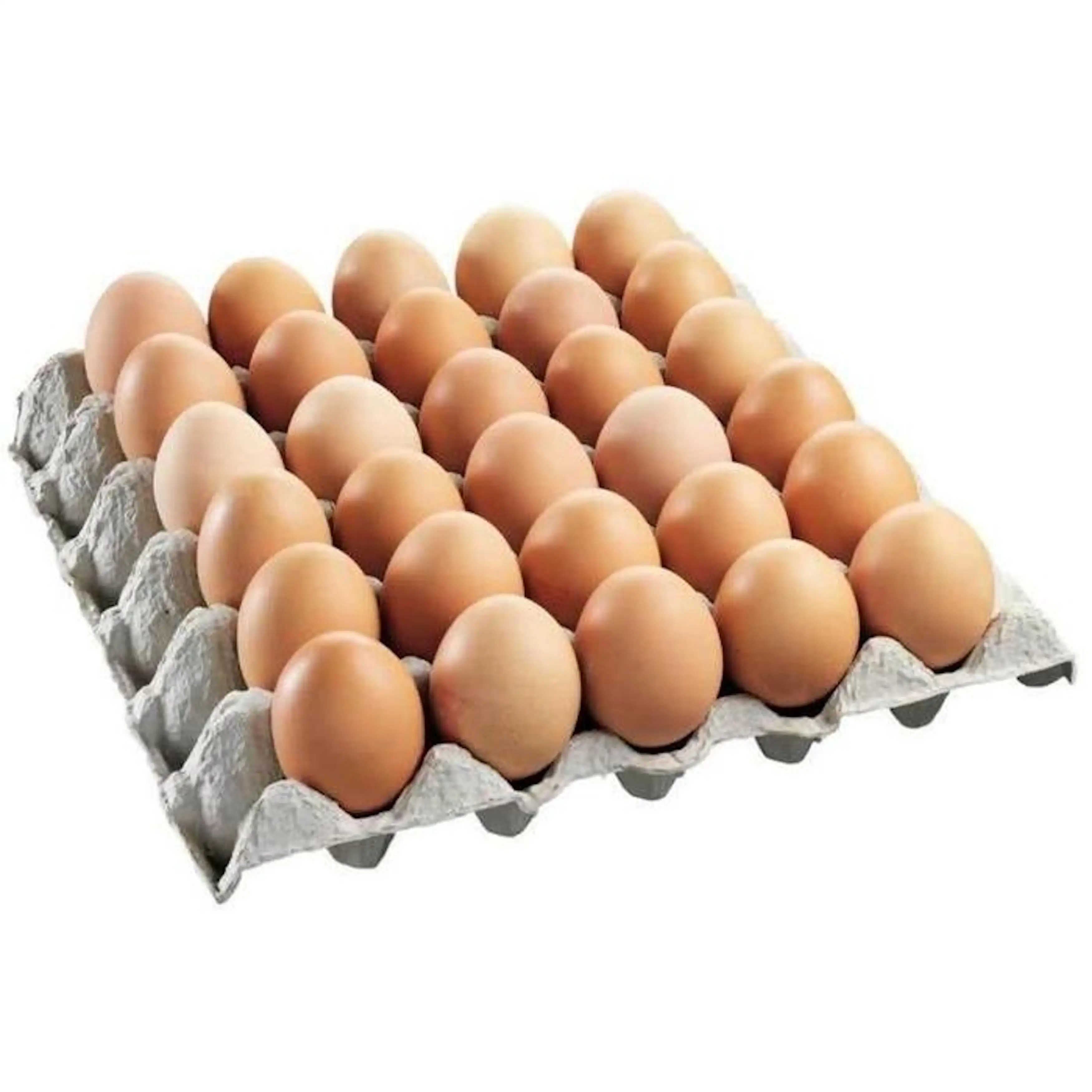 Frische Esstische Eier braun und weiß Großhandel