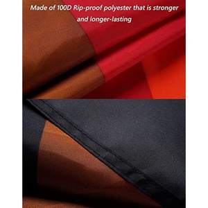 USA TOP FLAGSINC Pack de 10 drapeaux Philadelphia Rainbow Pride 3x5 pieds, drapeaux Gay Pride résistants pour l'extérieur, couleurs vives, marron, noir - Product Image 2