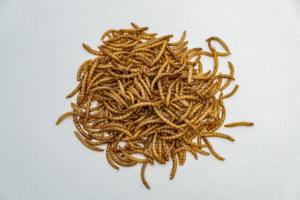 Funcionalidad Gusanos de harina secos naturales Alimento especial para animales para pájaros - Product Image 5