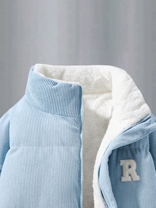 Lupin feutre OEM conception personnalisée vestes pour hommes 100% brillant polyester épais rembourré veste d'hiver Streetwear doudoune style chaud - Product Image 6