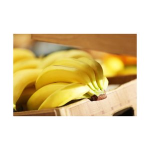 Plátano semimaduro, fruta fresca y firme de color amarillo para distribución al por mayor, envasado minorista y envíos de exportación - Product Image 6