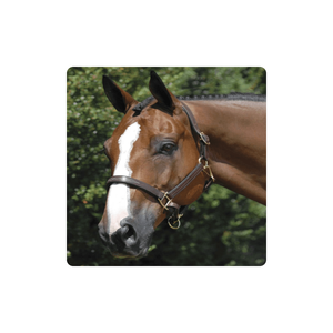 Holesale ququestrian Products ancy tittitched alter holale Rice arroz eaetather ororse Halters plegados - Product Image 1