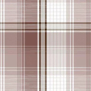 Tissu en coton lin de qualité supérieure à carreaux Oxford, teint en fil pour les marchés internationaux de chemises et de robes - Product Image 1