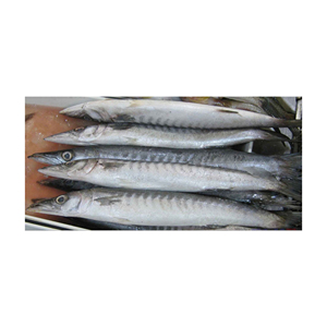 ปลาบาร์ราคิวดาแช่แข็งแพ็คในรูปแบบบล็อกหรือ Iqf - Product Image 6