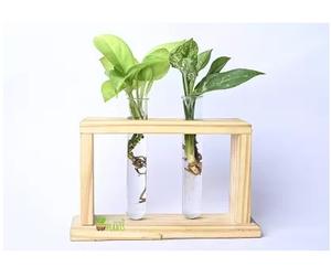 Terrarium de plantes avec support en bois Jardinière en verre suspendue avec tube à essai Vase en verre en bois de qualité supérieure élégant pour une utilisation sur table - Product Image 4