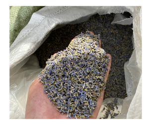 Flores de lavanda secas de Vietnam para manualidades perfumadas, uso de té, capullos de lavanda secos seleccionados a mano para relajación, decoración de boda - Product Image 6