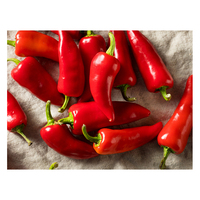Piment rouge séché cru, très demandé, traité AD, 100% naturel pur, du Brésil, allongé, sain, en vrac 25kg