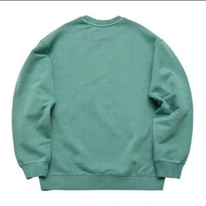 Logo personnalisé 300gsm hommes grande taille pull-over sweat-shirt à col rond solide coton polyester nouveau style sweats-shirts d'hiver-10 pièces - Product Image 6