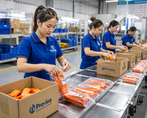 สายรัดโพลีเอสเตอร์แบบหัวเข็มขัดขนาด 38 มม. รับน้ำหนัก 450 กก. ไม่มีตะขอ สำหรับรถบรรทุกขนส่งสินค้าหนัก  ผู้ผลิตโดยตรงจากโรงงาน รับผลิตแบบ OEM - Product Image 3