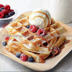 Nuevos platos de cena de hoja de palma cuadrados biodegradables ecológicos de 10 pulgadas para uso en interiores y exteriores para cualquier tipo de comida 2025 platos - Product Image 1