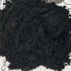 Cáscara de arroz puro Cáscara de arroz fresco suplemento de nutrientes para árboles agricultura de alta calidad al mejor precio de Vietnam Holiday - Product Image 2