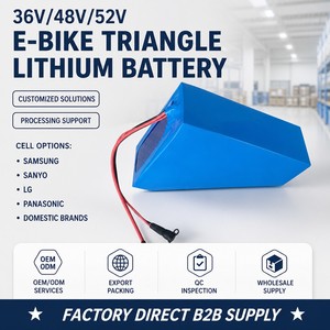 <span class=keywords><strong>Batterie</strong></span> de vélo électrique Hailong <span class=keywords><strong>48V</strong></span> 10Ah, <span class=keywords><strong>batterie</strong></span> lithium-ion avec BMS intégré, longue portée pour vélo électrique - Product Image 6