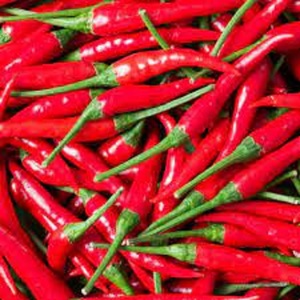 Chiles Rojos Cayena Frescos de Alta Calidad, 1 kg, de los Países Bajos, para Venta al por Mayor a Precios Competitivos - Product Image 5