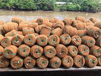 HOT DEAL - VIETNAM COCONUT COIR CORDE DE FIBRE DE COCO FABRIQUÉE AVEC DE LA NOIX DE COCO DE HAUTE QUALITÉ BOUCLÉE À PARTIR DE 99 GD