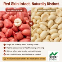 [Testé pour l'aflatoxine] Grains d'arachides rouges en vrac |   24/28 Skin-On |   Conforme à la réglementation européenne 2023/915 |   Fournisseur NIHEWAN
