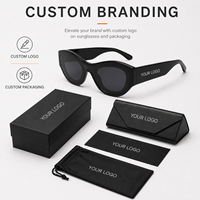 Lunettes de soleil ovales pour hommes Mellume Luxury, fabriquées à la main en acétate épais, verres TAC UV400, lunettes de créateur, logo personnalisé OEM.