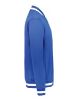Blouson bomber bleu pour homme, couleur unie, fermeture éclair, style décontracté, col rabattu, coupe classique, matière polyester, vêtement d'automne