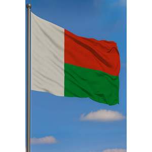 Drapeau extérieur personnalisé de Madagascar, imprimé numériquement en polyester, avec mât en aluminium et fibre de verre pour voiture, modèle drapeau mondial - Product Image 3