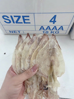 Meilleure vente de calmar séché de qualité supérieure disponible goût frais de l'océan parfait pour la vente au détail et en gros du Vietnam 2025