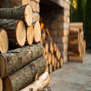 ซื้อท่อนต้นไม้ชนิดหนึ่งที่ขายดีที่สุดในระดับพรีเมี่ยมเหมาะสำหรับยามเย็นที่อบอุ่นด้วยไฟจัดส่งรวดเร็วและขายส่งตอนนี้ - Product Image 4